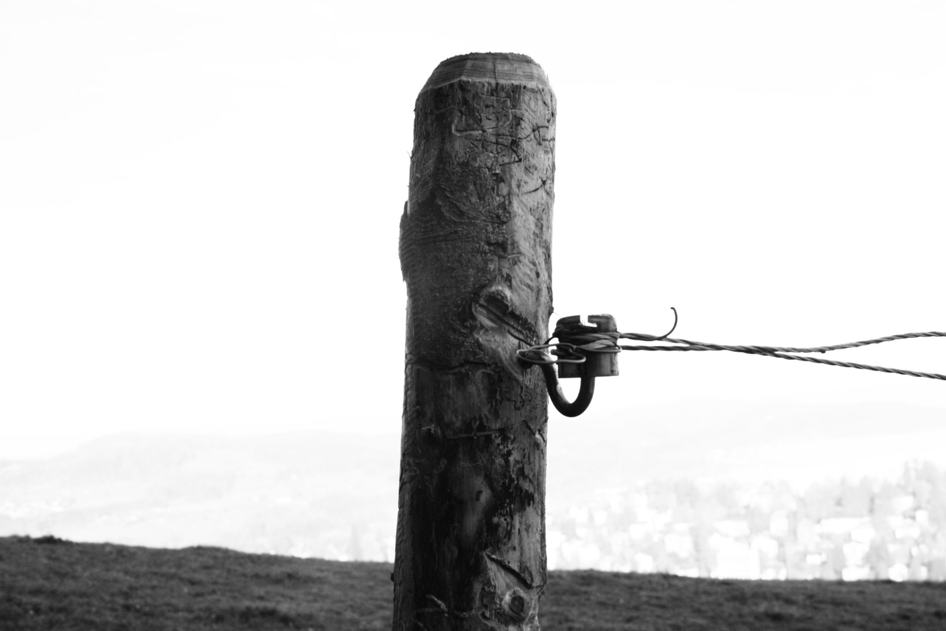 Black and white photo of a wooden post with wire fence in St. Gallen, Switzerland.